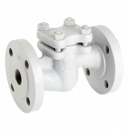 Фото №0 Клапан обратный подъемный 16с13нж