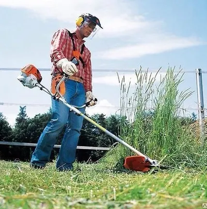 Фото №0 Покос травы