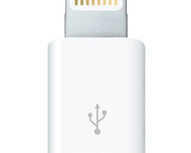фото Разъем Apple microUSB -