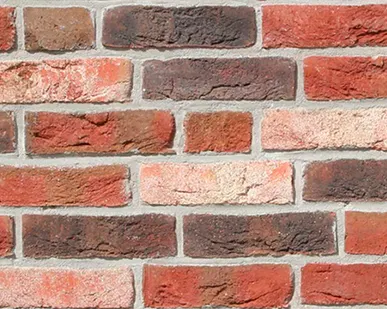 фото Плитка Roben Dykbrand фламандский пестрый, 240*71*14 мм