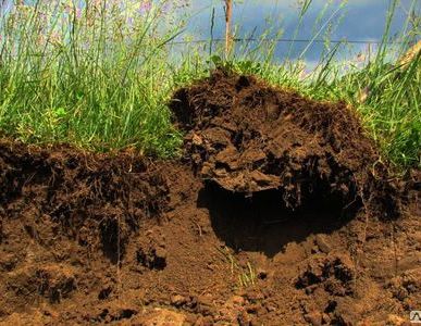 фото Грунт растительный с доставкой от 3 кубов.