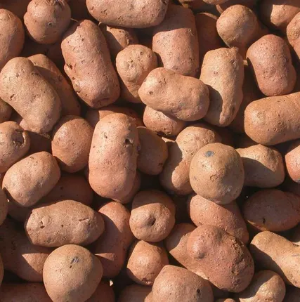 Фото №0 Керамзит фракции 5-10