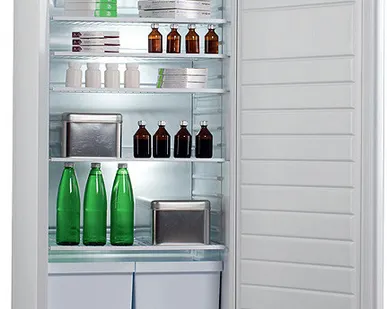 фото Холодильник Pozis ХФ-250-2