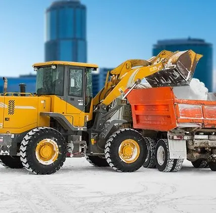 Фото №0 Уборка и вывоз снега