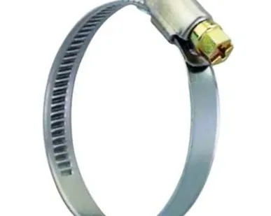 фото Хомут шланговый 40-60 мм FIT-64285