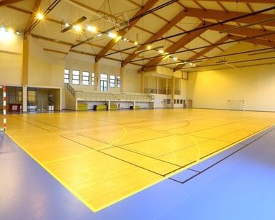 фото Спортивный линолеум Omnisports REFERENCE (омниспорт)