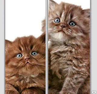 фото Стекла с фотопечатью