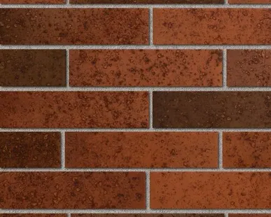 фото Кирпич керамический облицовочный М200 (Ликолор) 250х120х65мм 1НФ, тайга, морион на заре, мрамор /480
