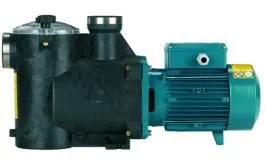 Фото №1 Насос для бассейна Calpeda с предварительным фильтром MPC-7