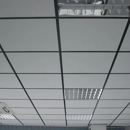 Фото №0 Армстронг потолочная система