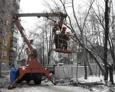 фото Спил и обрезка деревьев
