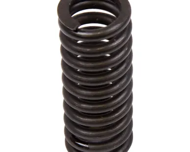 фото Пружина BX74417009//660 (с.11-11) Typical