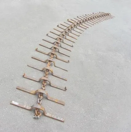 Фото №1 Цепь со скребками КО-829А.56.03.200