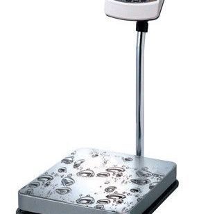 фото Электронные напольные весы CAS BW 150 RB