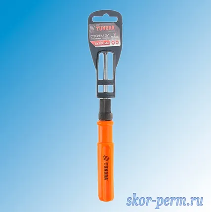 Фото №1 Отвертка комбинированная 2 в 1, 100 мм PH2/SL6