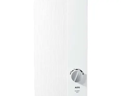 фото Проточный электрический