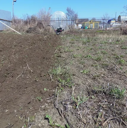 Фото №0 Вспашка земли мотоблоком