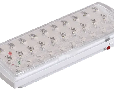 фото Светильник аварийный ДПА 2101, аккумулятор, 4ч, 30LED, IP20, IEK