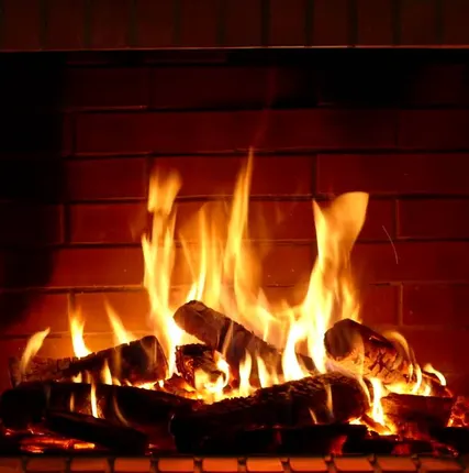 Фото №0 Дрова березовые колотые