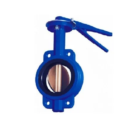 Фото №0 Затвор дисковый ЗДП Ду80 Ру16