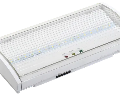 фото Светильник аварийный ДПА 5040-3, NI-CD, пост.,3ч,IP54, IEK