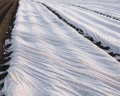 фото Спанбонд Агрол