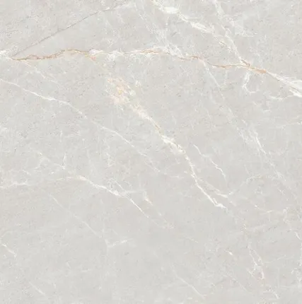 Фото №0 Керамогранит Stone Persian Grey Matt 120x120