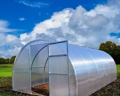 фото Теплица дачная 3х8 м.