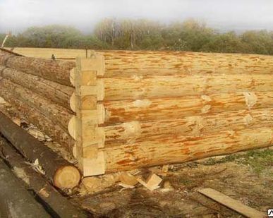 фото Срубы для домов из сосны