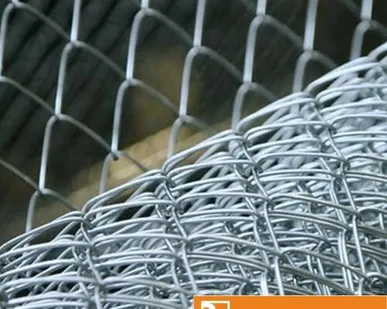 фото Сетка Рабица оцинкованная 60х60х5 мм в рулоне 1,5х10 м