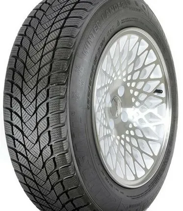 Фото №0 LANDSAIL WINTER LANDER