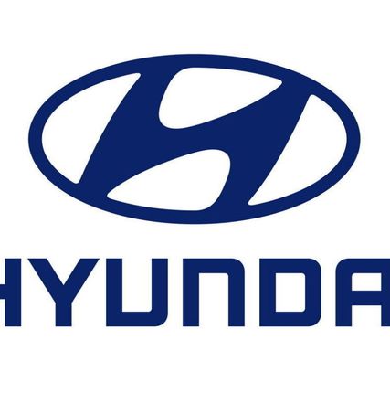 Фото №0 Фильтр кондиционера (11N6-90760-P) (Hyundai)