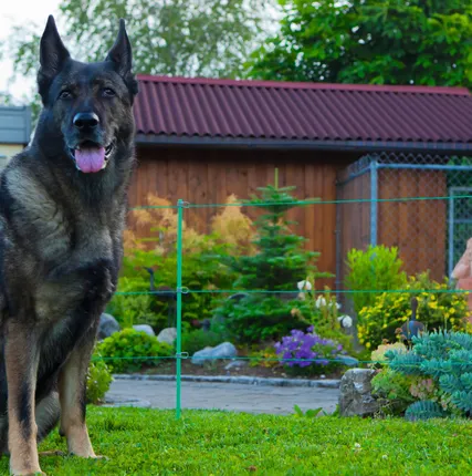 Фото №0 Электроизгородь 25х25 м 2 ряда (веревка 2 мм) для собак