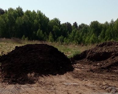 фото Грунт плодородный, чернозем