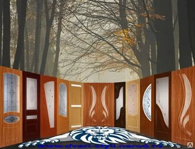 Фото №0 ДВЕРИ МЕЖКОМНАТНЫЕ