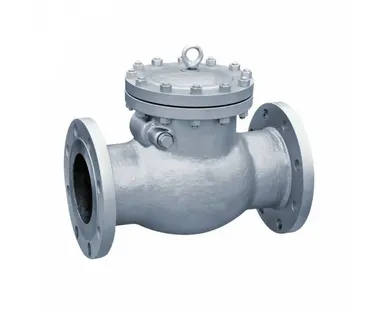 фото 19с76нж, Клапан обратный поворотный