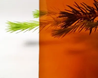 фото Монолитный поликарбонат BORREX Бронза Коричневая 2 мм (3,05*2,05 м)