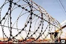 фото Гюрза СББ  проволока колючая