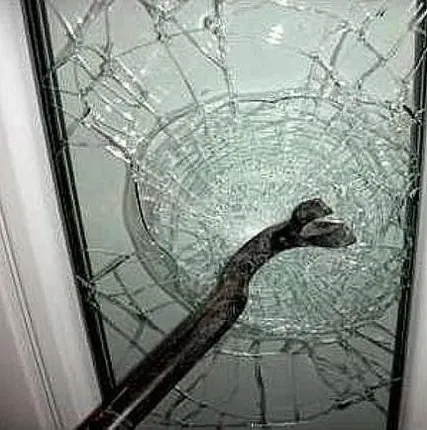 Фото №0 Бронирование стеклопакета А2