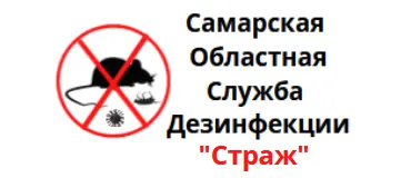 Страж