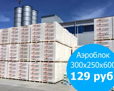 фото Газосиликатный блок 300х250х600