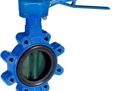 фото Затвор дисковый SYLAX Ду125 Ру16 межфланцевый Danfoss