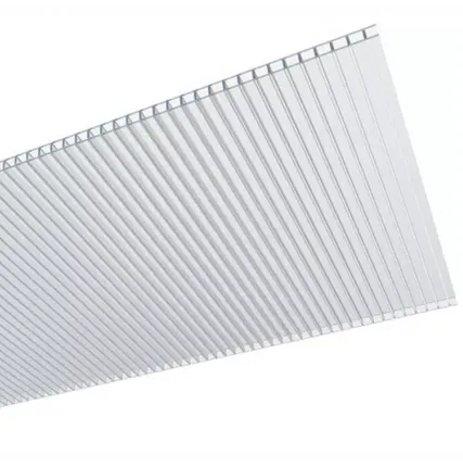 Фото №0 СОТОВЫЙ ПОЛИКАРБОНАТ ЭКСТРА (2100*6000*4)