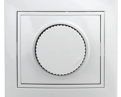 фото Светорегулятор СП Plano 1-401-01 поворотный 600Вт 230В IP20 бел. Intro Б0027623