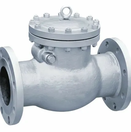 Фото №0 19с53нж, Клапан обратный поворотный