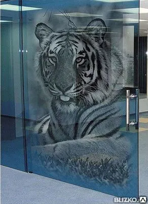 Фото №0 Изделия из закаленного стекла с фотопечатью