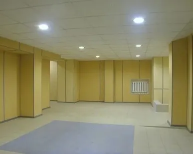 фото Гипсовинил