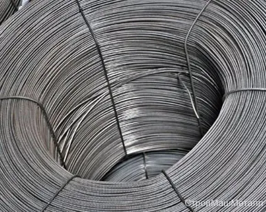 фото Проволока 3,8 мм ВР-1 ТС 173-062-2014