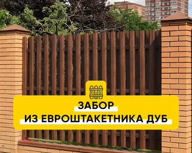 фото Забор из Евроштакетника Дуб
