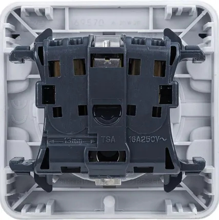 Фото №1 Розетка 1-м СП Plexo 16А IP55 2P+E с заземл. с крышкой немецк. стандарт безвинт. клеммы механизм сер. Leg 069570